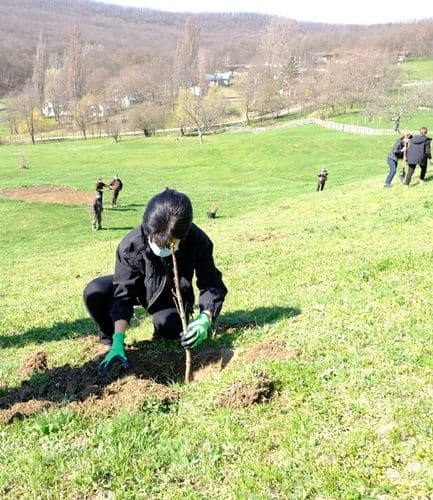 manastirea Agafton plantare versant Manastirea Agafton  (6)