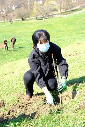 manastirea Agafton plantare versant Manastirea Agafton  (7)