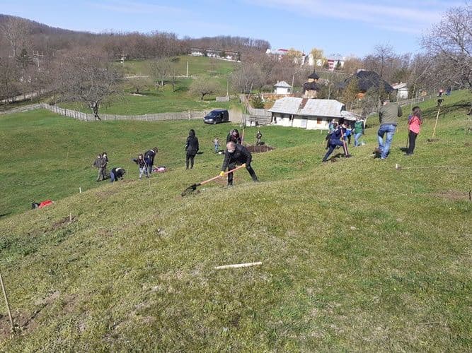 manastirea Agafton plantare versant Manastirea Agafton  (7)