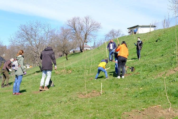 manastirea Agafton plantare versant Manastirea Agafton  (8)