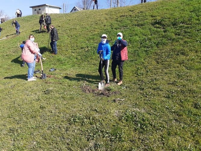 manastirea Agafton plantare versant Manastirea Agafton  (8)