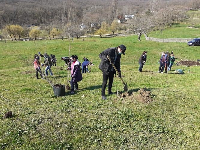 manastirea Agafton plantare versant Manastirea Agafton  (9)