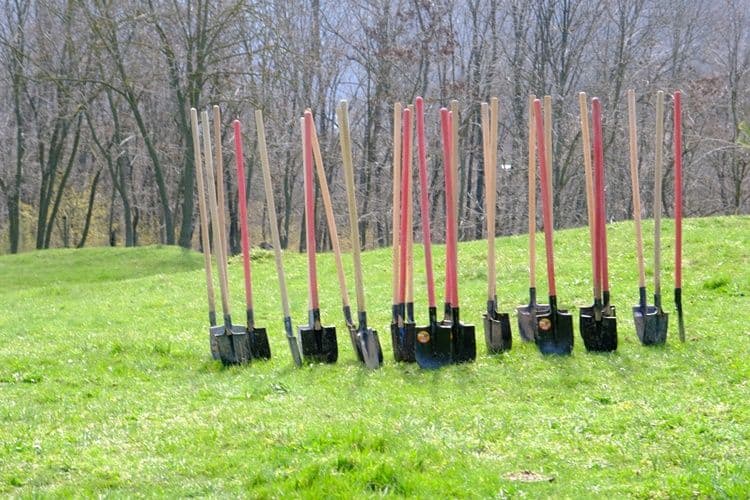 manastirea Agafton plantare versant Manastirea Agafton  (10)