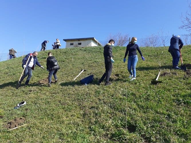 manastirea Agafton plantare versant Manastirea Agafton  (10)
