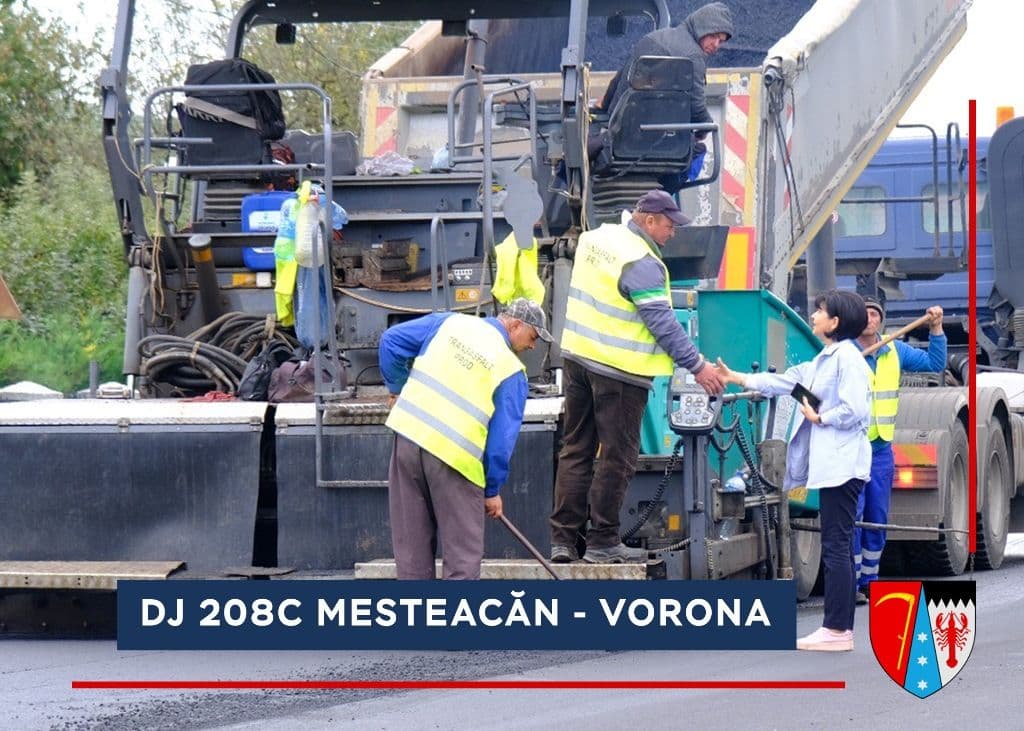 DJ 208C Mesteacan - Vorona   (1)