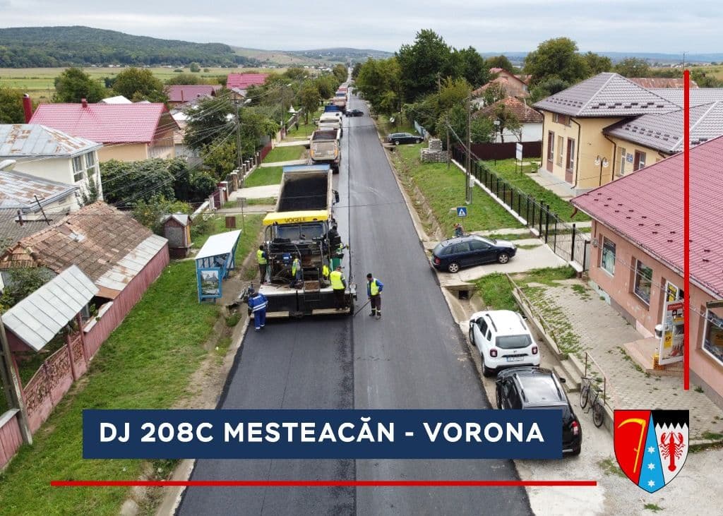 DJ 208C Mesteacan - Vorona   (3)