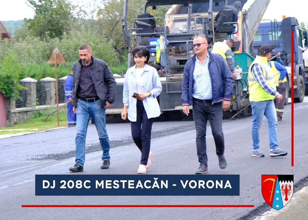 DJ 208C Mesteacan - Vorona   (4)