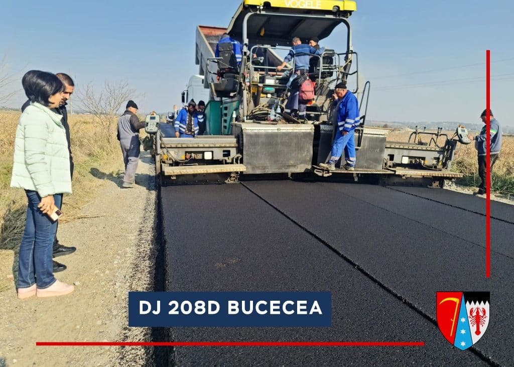 DJ 208D Bucecea  (2)