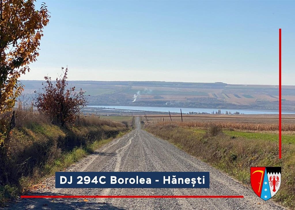 DJ 294C, Borolea - Hanesti