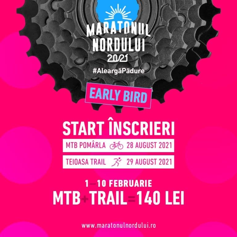 Early bird - patrat