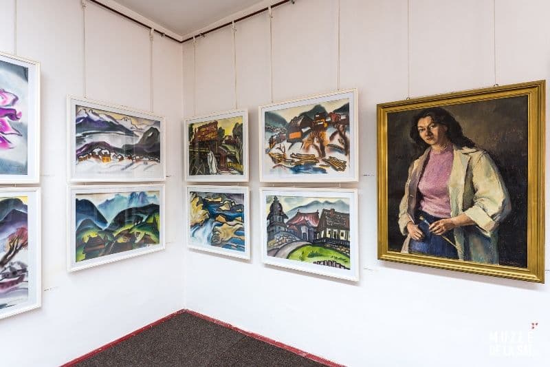06. Muzeul de Artă „Iulia Hălăucescu”, Județul Neamț-09356