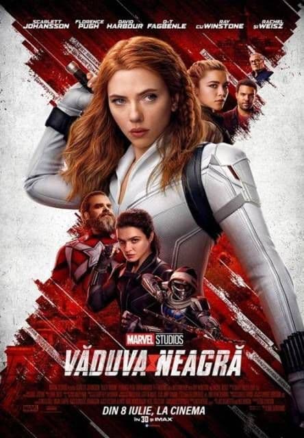 vaduva neagra