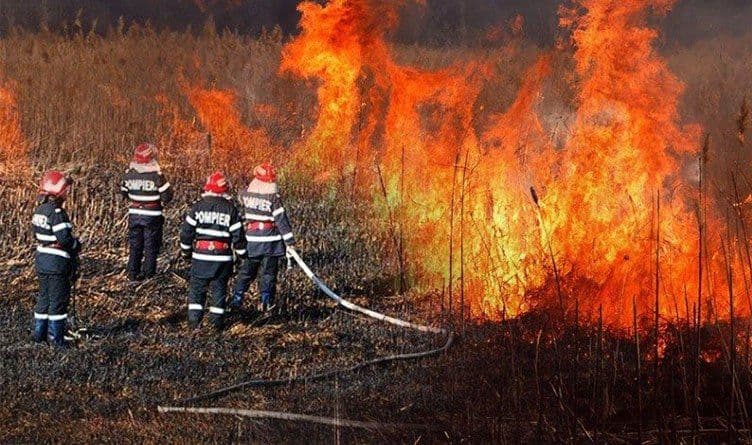 Incendiu-Vegetatie-Uscata-1