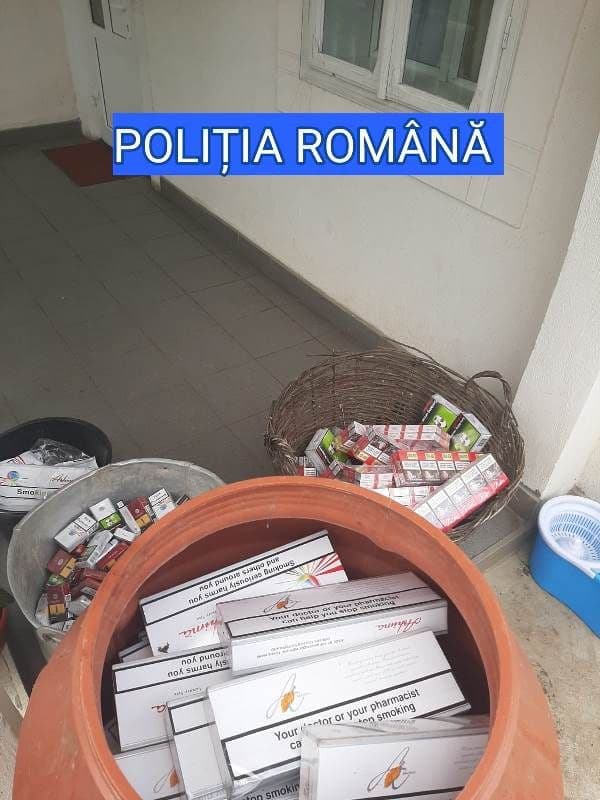 Perchezitii_2