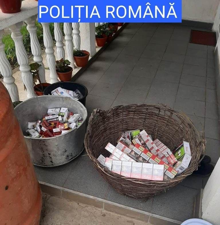 Perchezitii_3