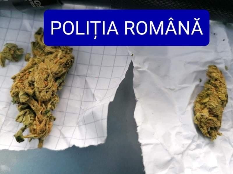 Actiune politie_droguri_002
