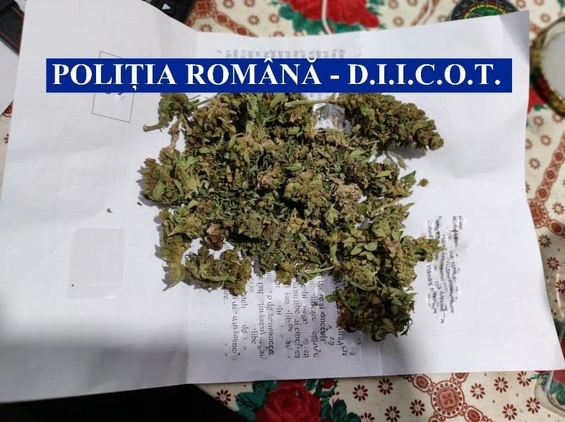 droguri Botosani_ (1)