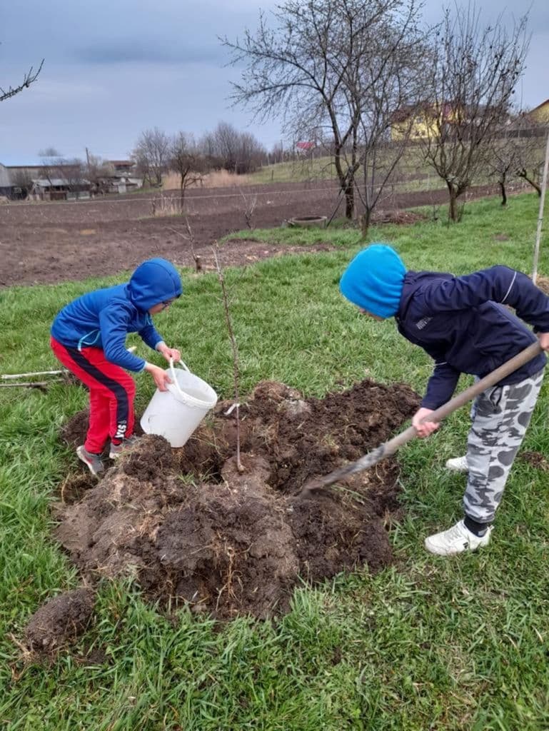 Ziua Pamantului 06