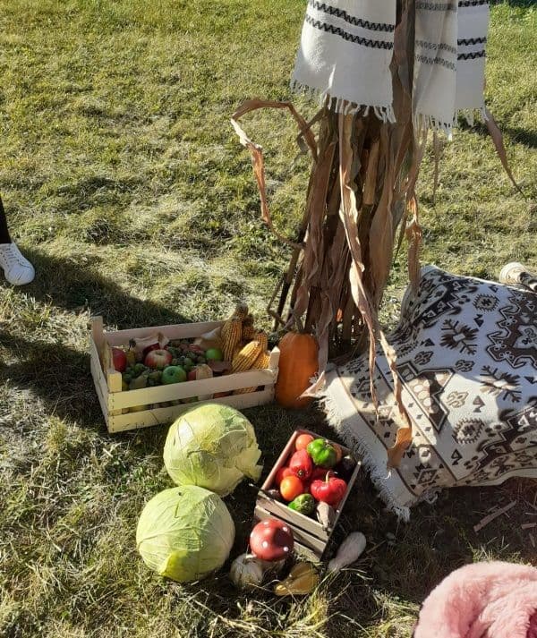 Gradi Braesti (10)
