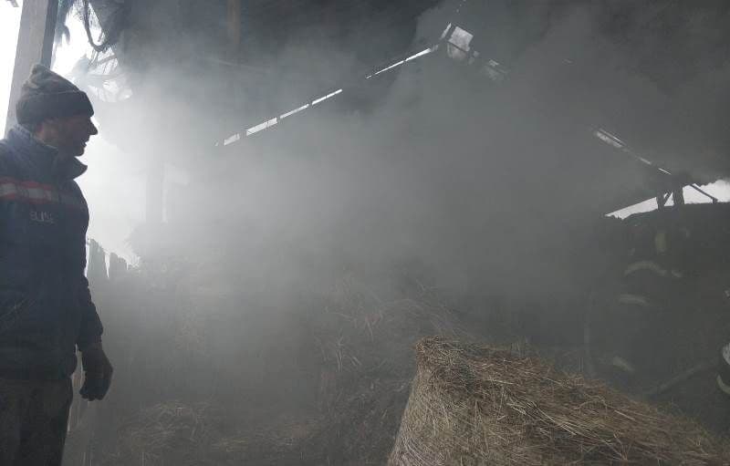 Incendiu Braesti (3)