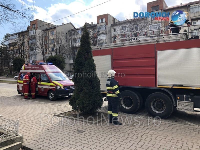 Caine salvat Dorohoi_01