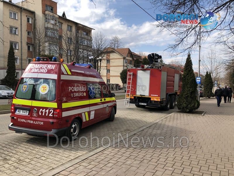Caine salvat Dorohoi_14
