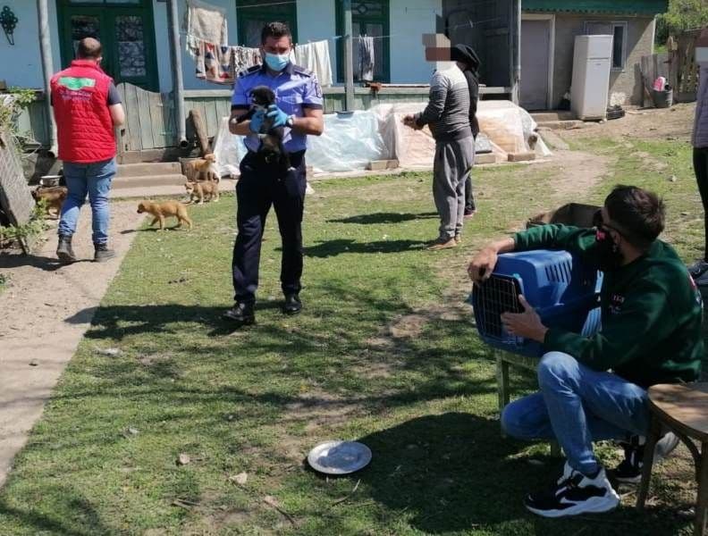 Biroul de Protectie a Animalelor (2)