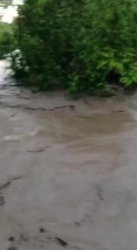 Inundatii BT_ (9)