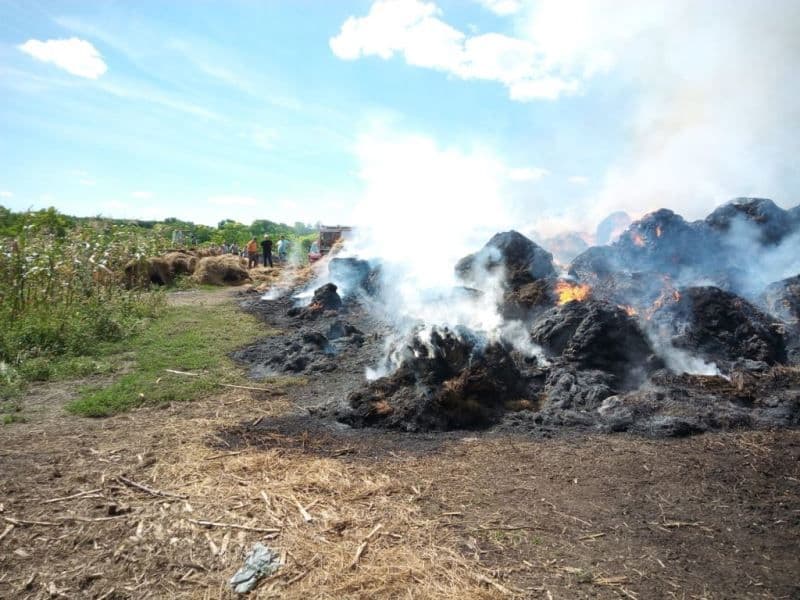 Incendiu Adaseni (3)