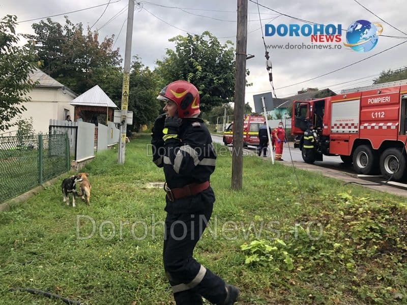 Incendiu Dorohoi_13