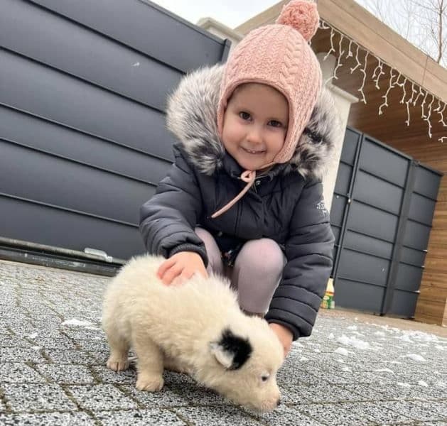 Apel umanitar! Carina, o fetiță de 4 ani din Dorohoi are nevoie de ajutor!