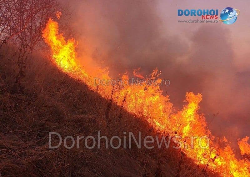 Incendiu de vegetație izbucnit la Văculești. Pompierii dorohoieni au intervenit de urgență - FOTO