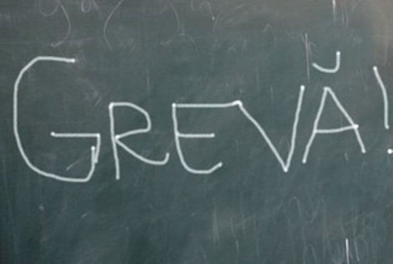 Grevă de avertisment în învățământul botoșănean. Au participat aproximativ 2500 de angajați