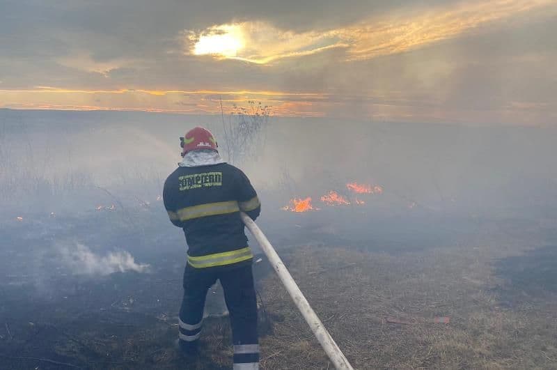 Incendiu de vegetație uscată în zona Cornișa de la marginea municipiului Botoșani - FOTO