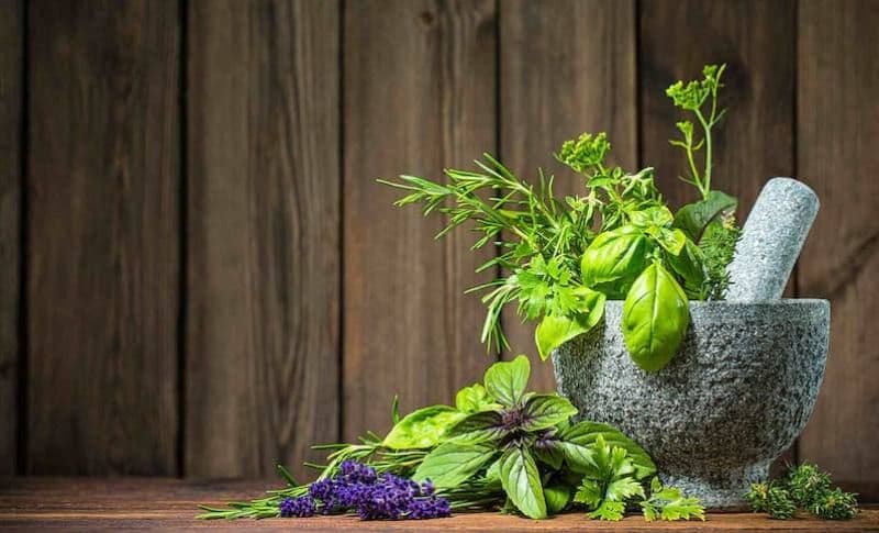 Tratamente din plante pentru o digestie sănătoasă