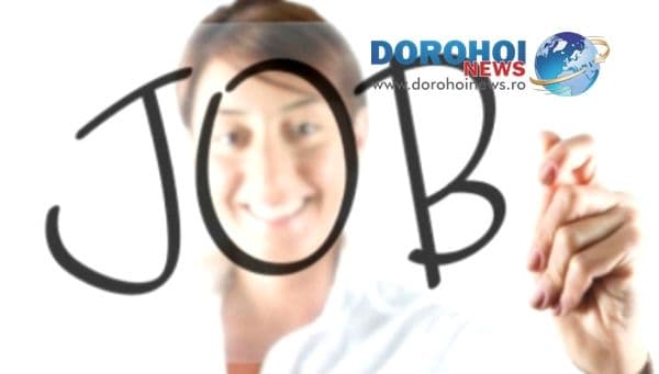 561 locuri de muncă vacante în judetul Botoșani la sfârșitul lunii ianuarie