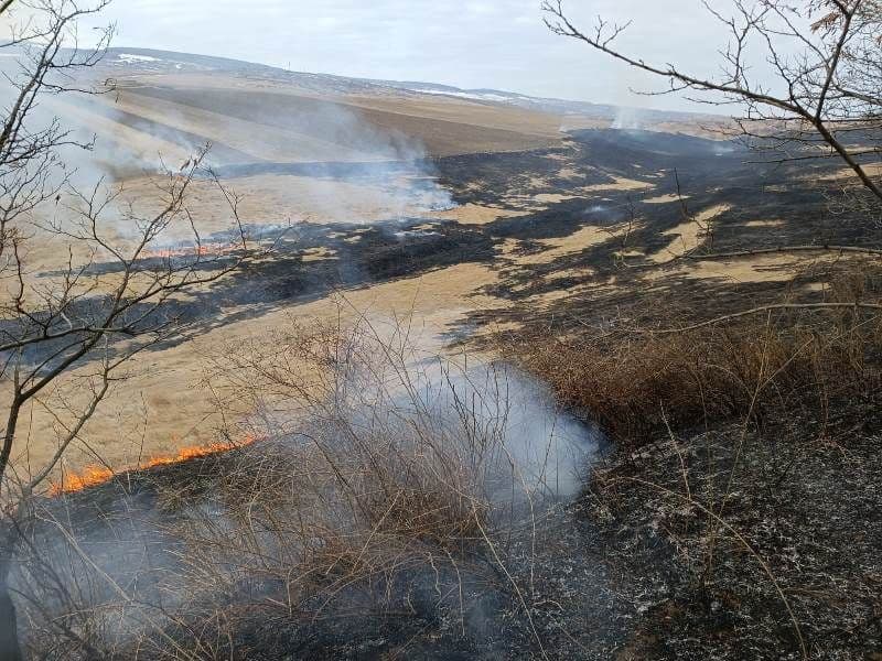 30 hectare de vegetație distruse în urma unui incendiu, la Frumușica - FOTO