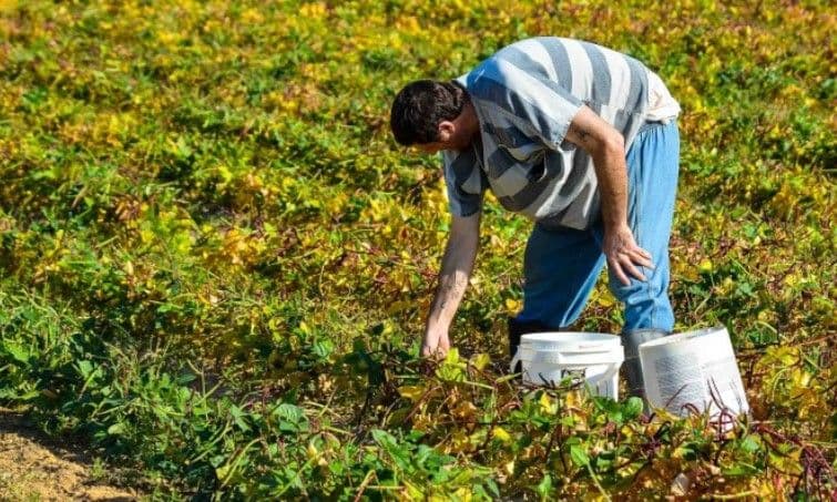 Locuri de muncă în Danemarca prin intermediul reţelei EURES