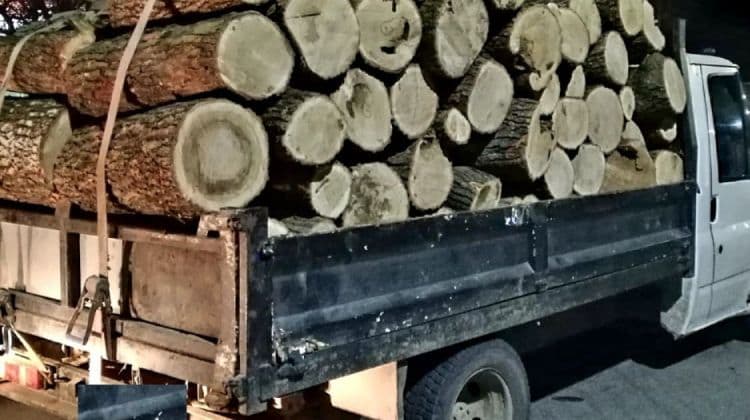 Transport ilegal de lemne depistat de polițiștii botoșăneni