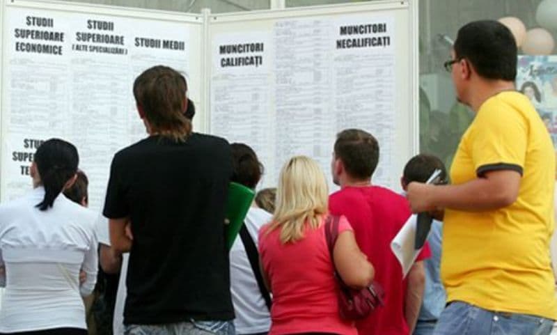 280 persoane angajate prin intermediul AJOFM BOTOȘANI în luna ianuarie