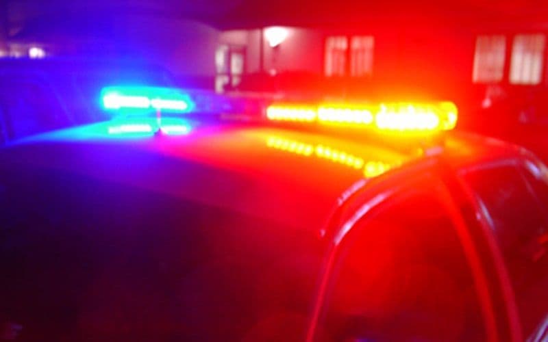 Cei doi minori căutați de polițiști au fost găsiți la Flămânzi