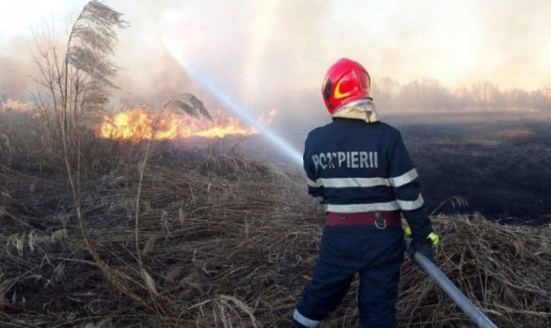 Peste 60 hectare de vegetație distruse duminică, în incendii