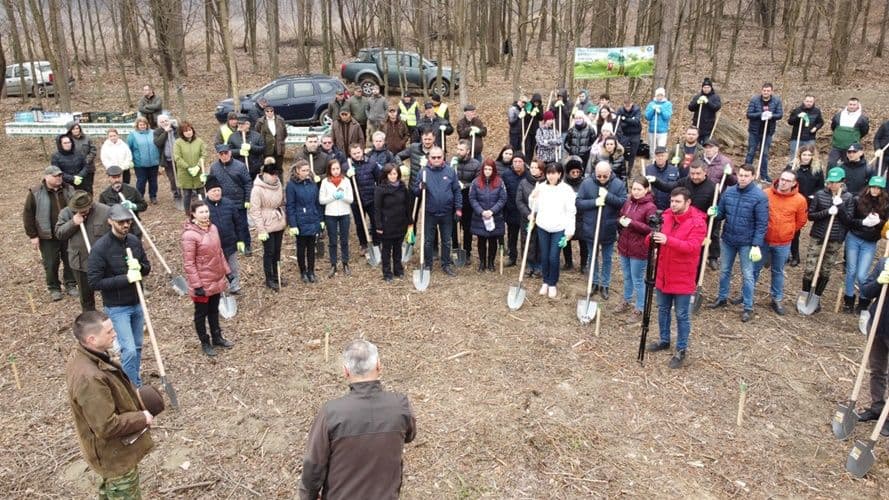 Social-democrații botoșăneni se alătură campaniei „Luna plantării arborilor” 