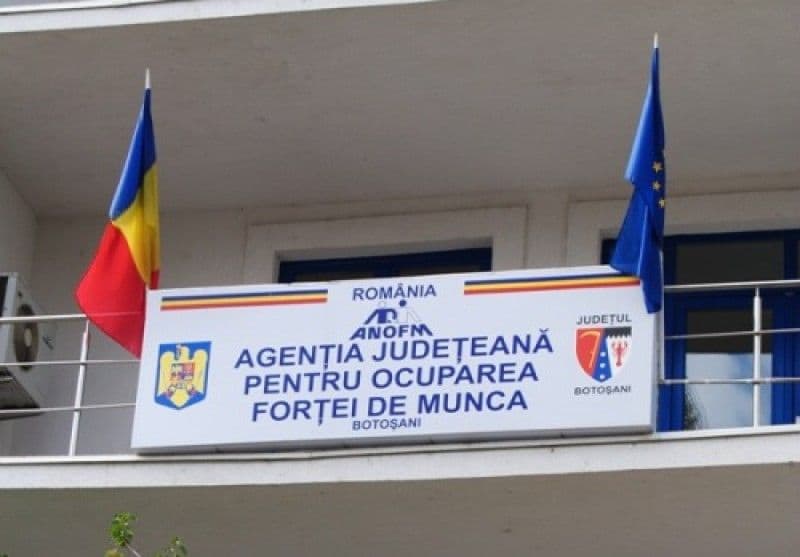 584 persoane angajate prin intermediul AJOFM Botoșani în perioada ianuarie-februarie 2022