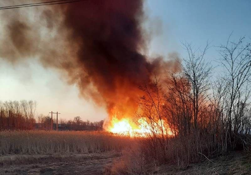 Alte 22 de incendii de vegetație în județ. Pompierii botoșăneni au intervenit