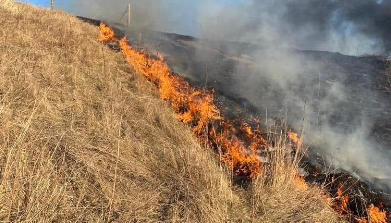 Alte 16 incendii s-au înregistrat, în ultimele 24 de ore, pe teritoriul județului Botoșani - FOTO