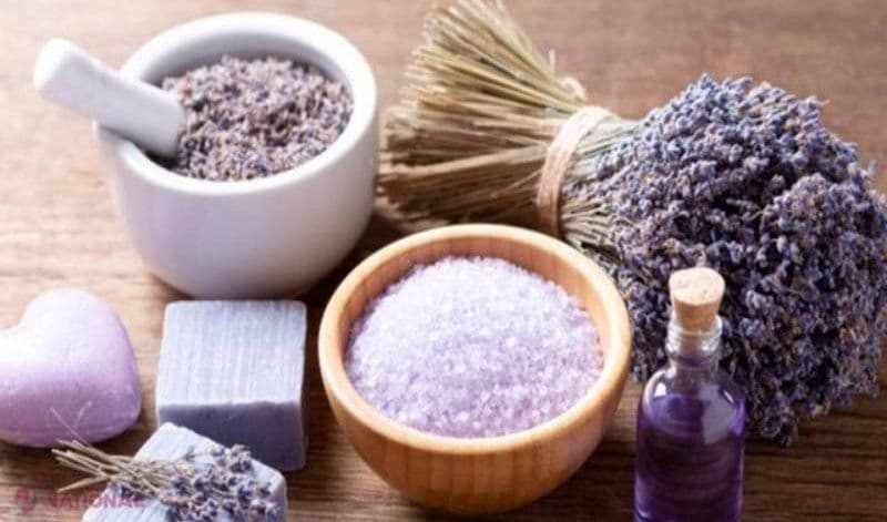 Proprietăți terapeutice pe care le deține lavanda