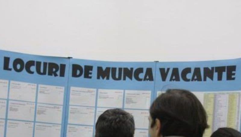 614 locuri de muncă vacante în această săptămână în judetul Botoșani