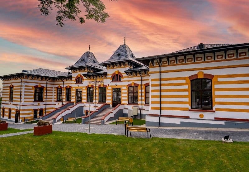 Târgul Liceelor din Dorohoi și împrejurimi organizat la Colegiul Național „Grigore Ghica”
