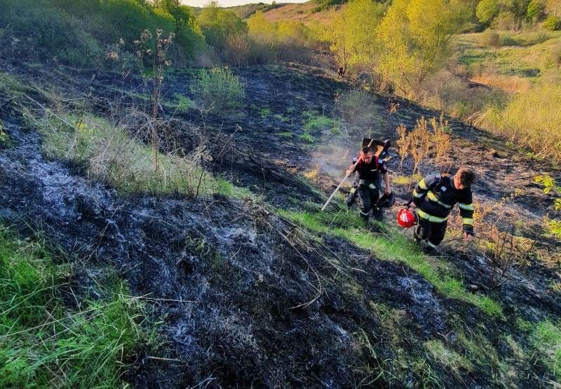 Vegetația uscată de pe zece hectare mistuită de flăcări la Dersca